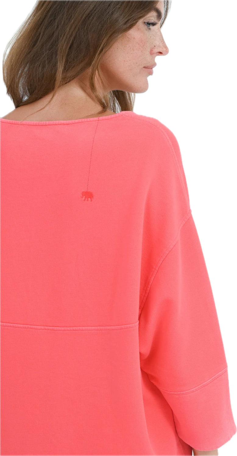 Love Joy Vicory Cuneira geranium