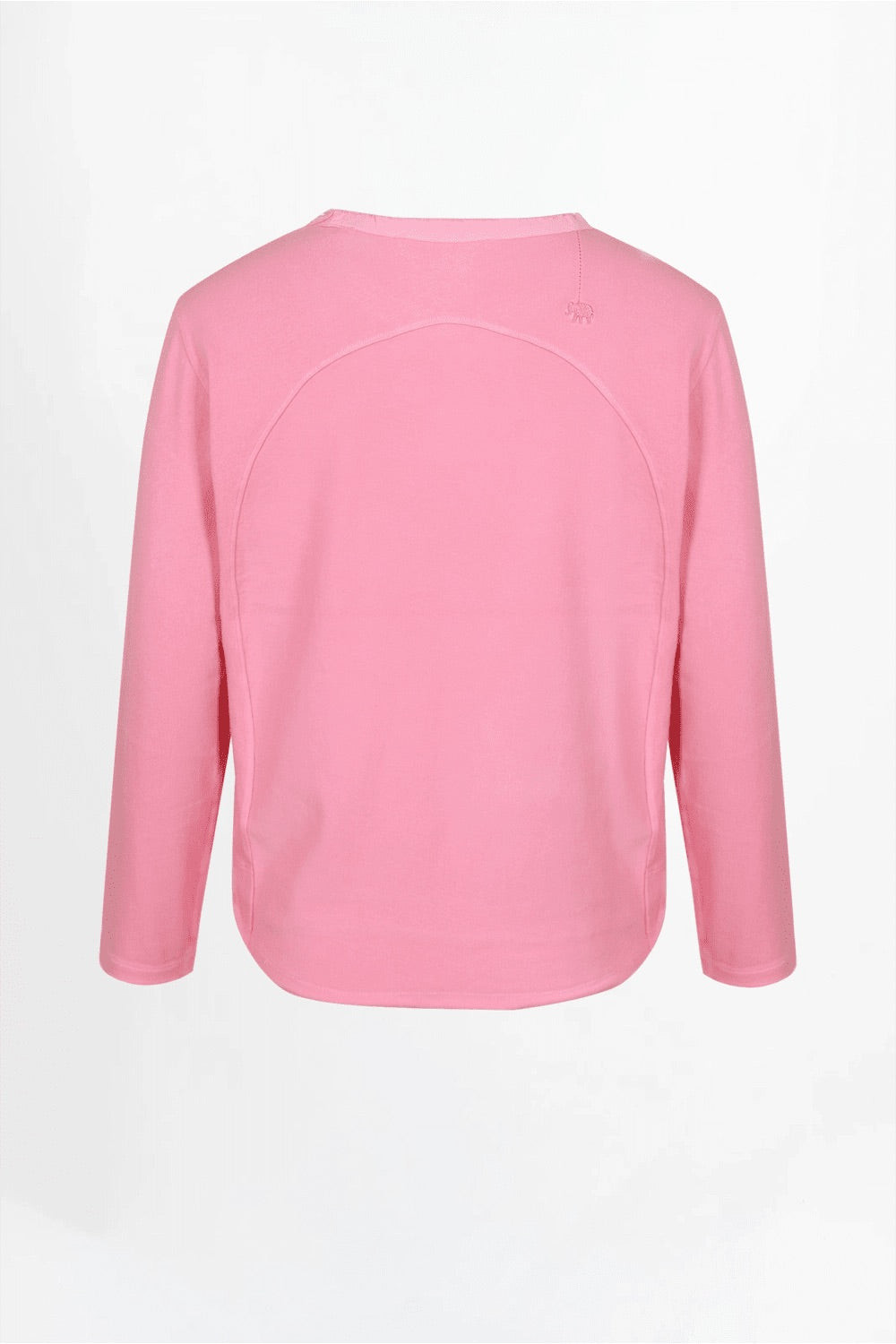 Love Joy Victory Maybell hibiscus