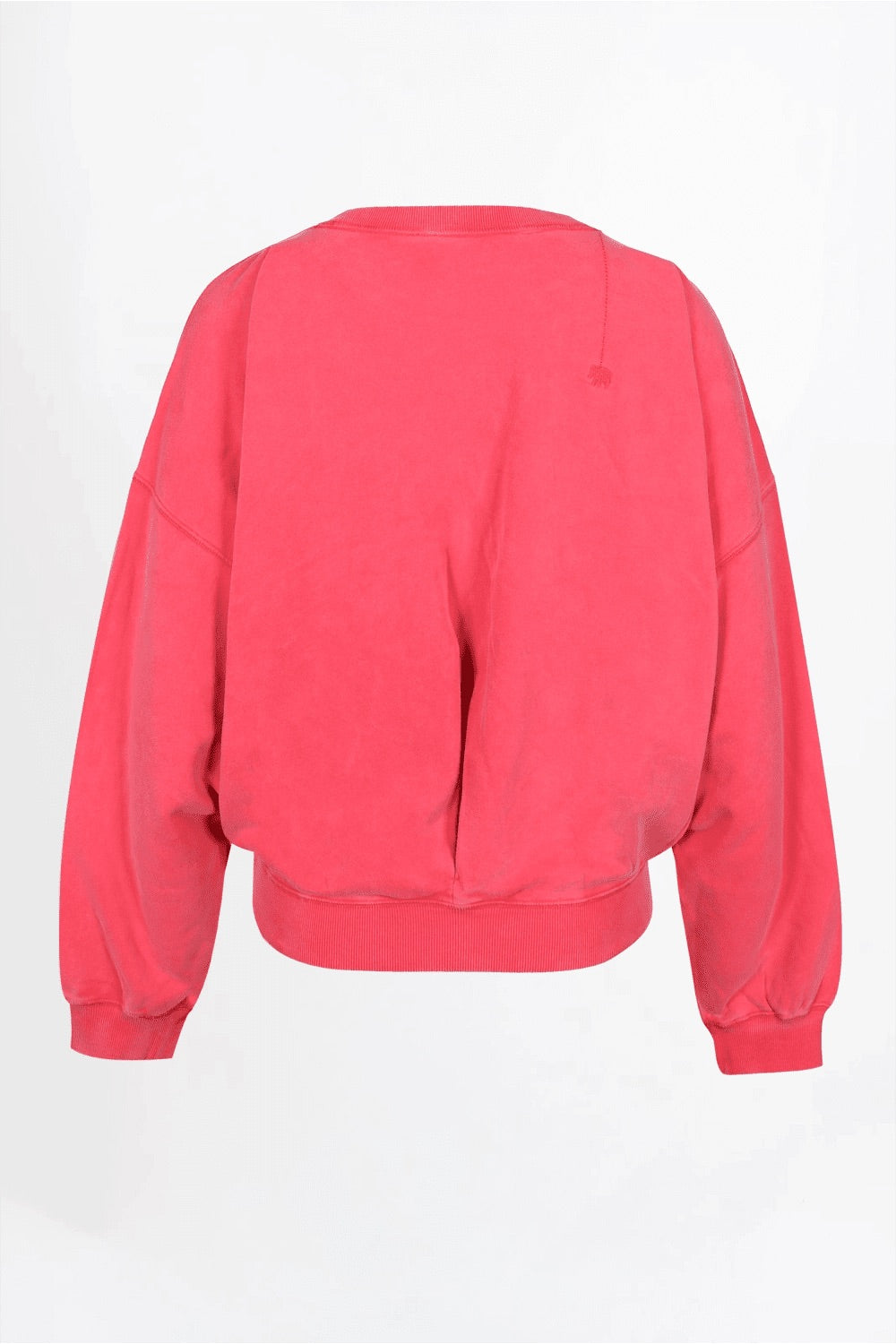 Love Joy Victory Belly geranium